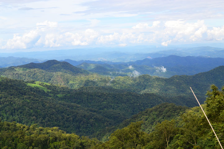 Nam Ha National Park