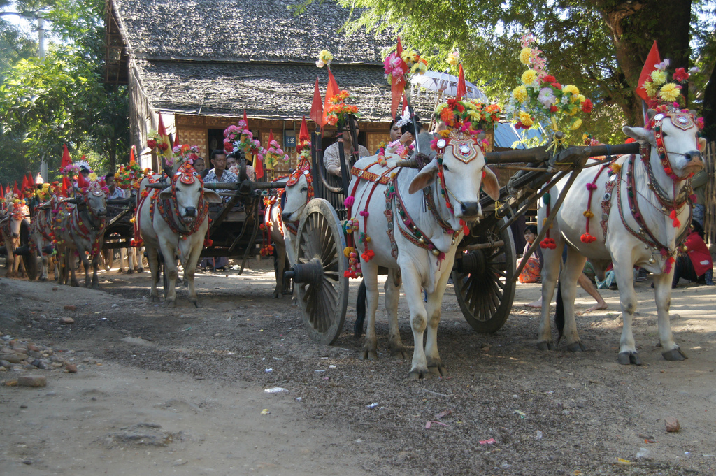 Myinkaba Village