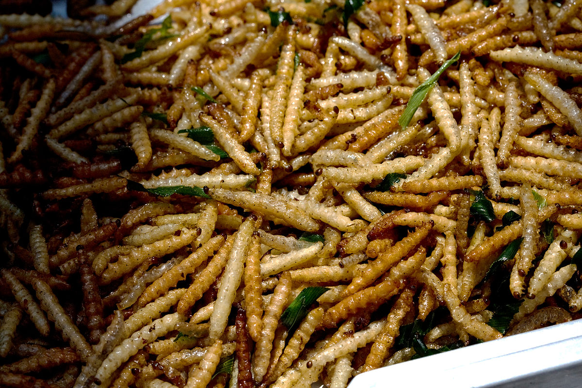 Bamboo worms