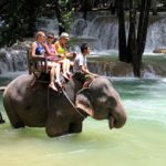 Elephant riding in Tad Sae waterfall