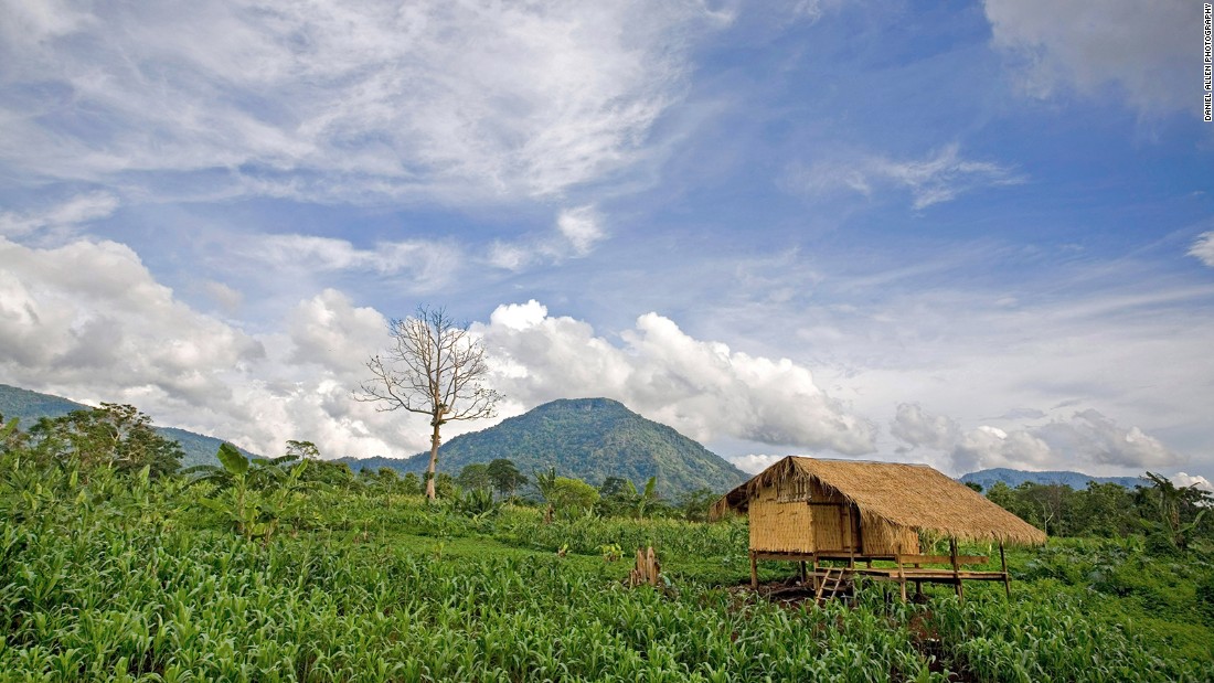 Bolaven Plateau